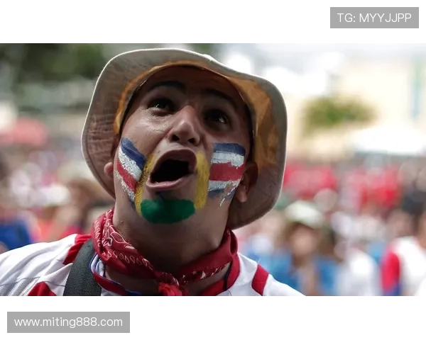 因凡蒂诺现身土耳其观看哥斯达黎加热身赛 因凡蒂诺现身土耳其观看哥斯达黎加热身赛